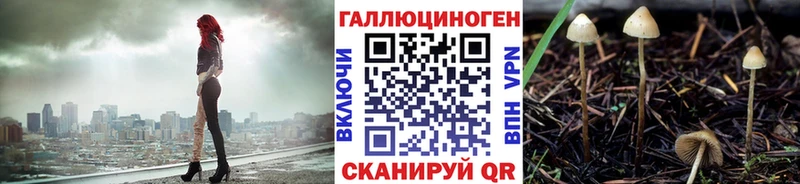 Галлюциногенные грибы мицелий  Купить закладки  Вятские Поляны 